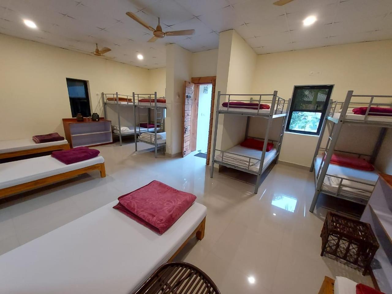 Tadoba Tiger Valley Resort Tadoba Mohurli Eksteriør billede